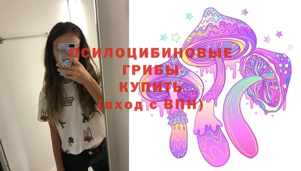 эйфоретик Михайлов